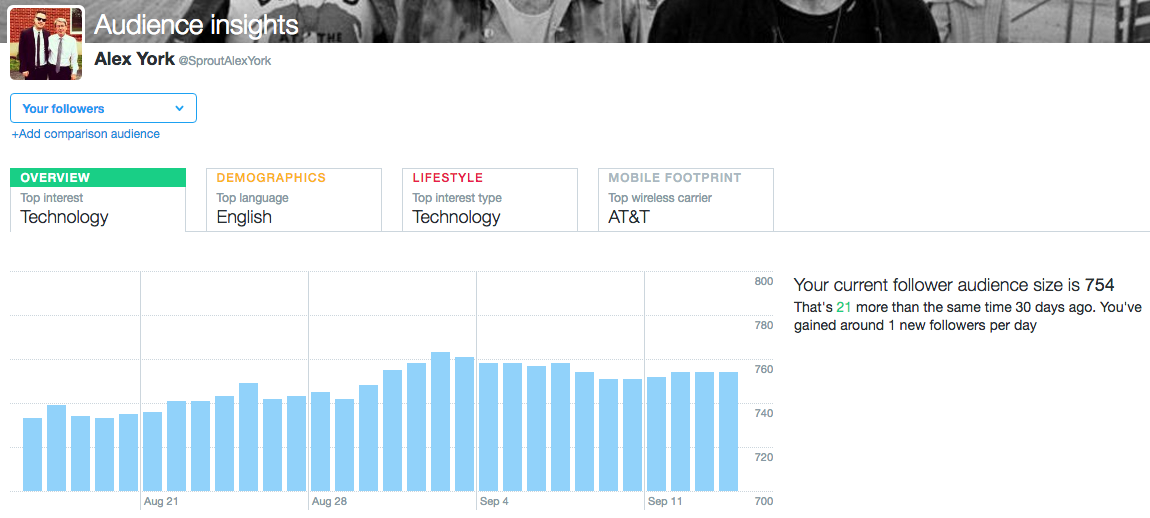esempio di dati sul pubblico di Twitter