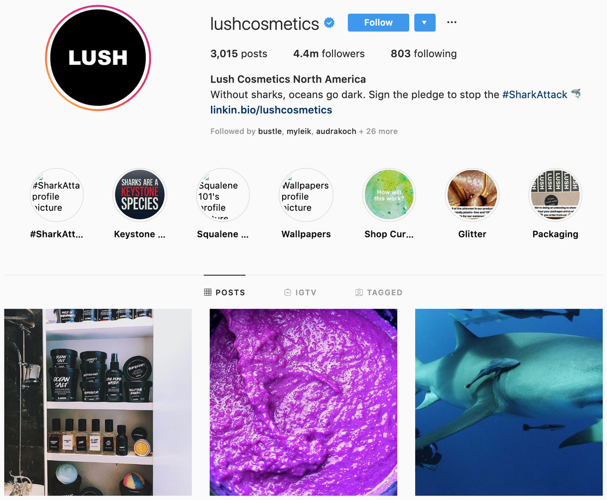 Lush su Instagram: i migliori marchi da seguire