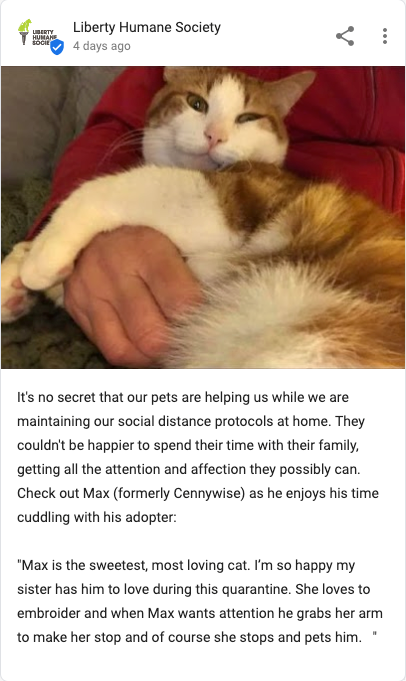 post de la société Liberty Humane