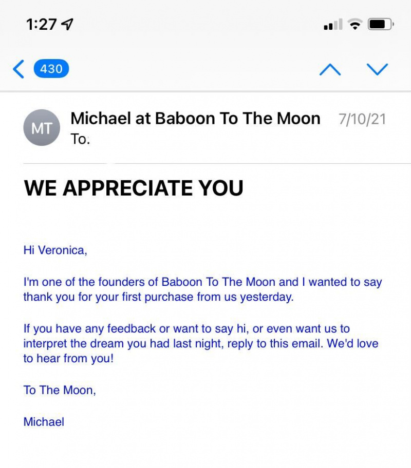 Une capture d'écran d'un e-mail d'appréciation des clients en texte brut de Baboon To The Moon, adressé par leur fondateur.