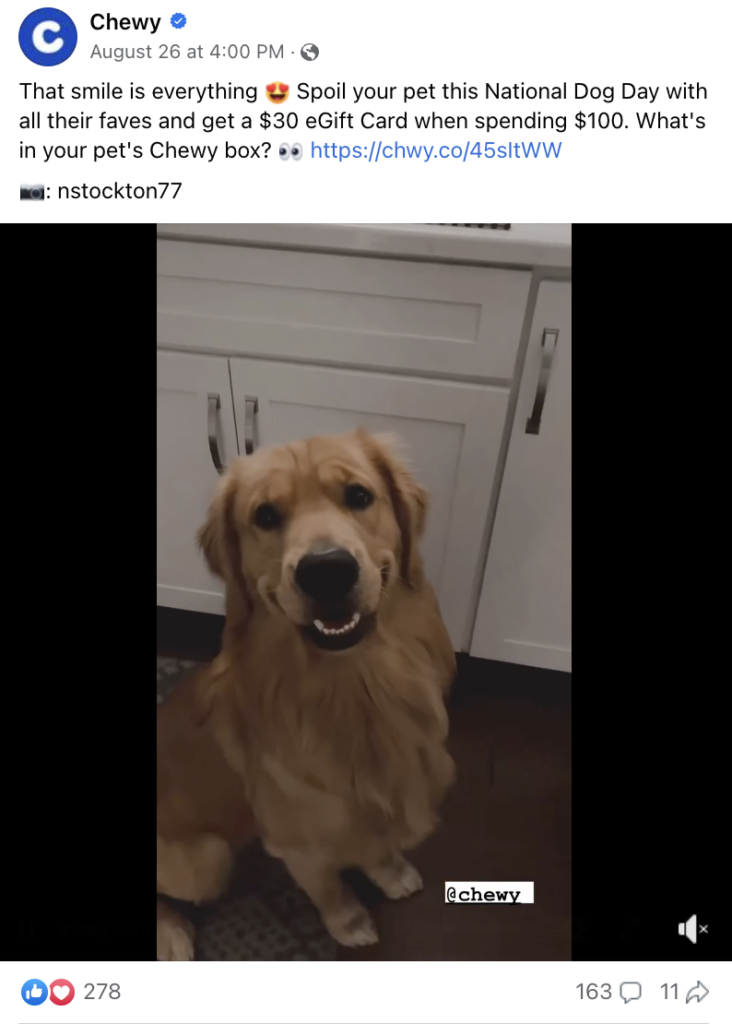   Видео на Фејсбуку од Цхеви's account featuring a happy-looking golden retriever. The copy on the post says, "That smile is everything. Heart eyes emoji. Spoil your pet this National Dog Day with all their faves and get a  eGift Card spending 0. What's in your pet's Chewy box?" an the video is credited to nstockton77.