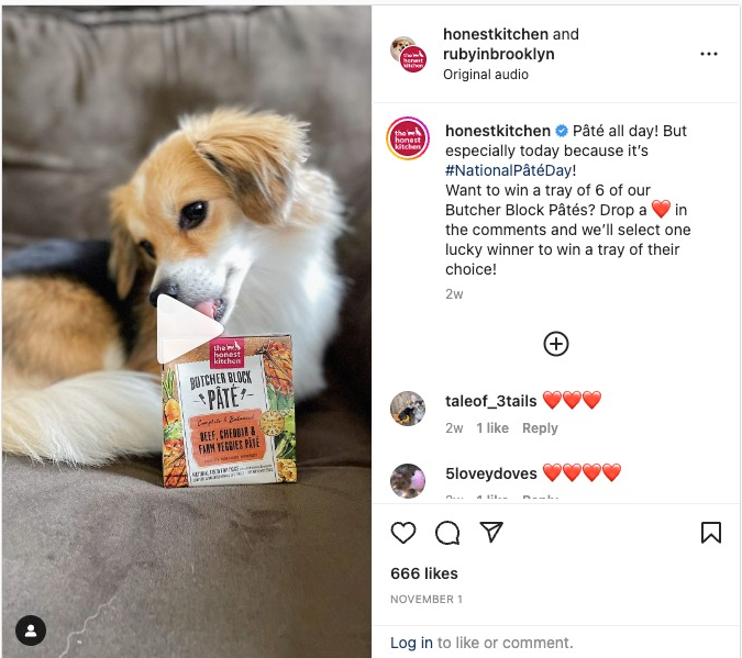   Post suradnje na Instagramu između Honest Kitchen i Ruby u Brooklynu koji prikazuje malog psa kako jede iz vrećice poslastica