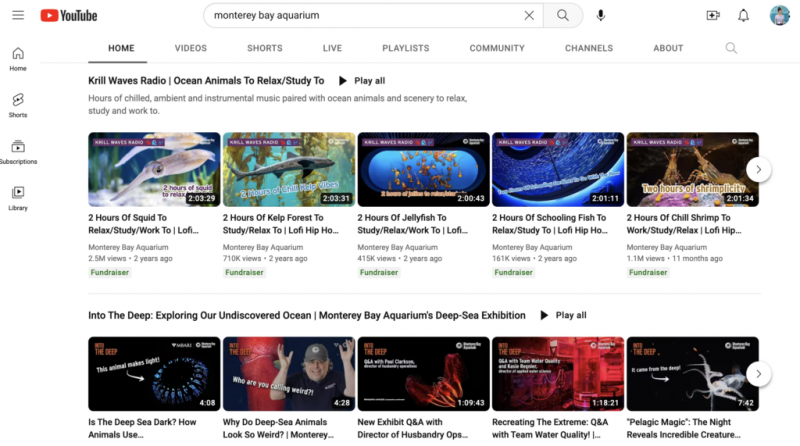   Akvarij Monterey Bay's featured playlists, including a playlist populated by their relaxing livestreams of aquarium habitats.