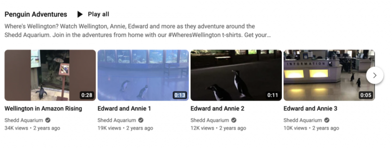   Popis pjesama na Shedd Aquariumu's YouTube channel called penguin adventures that contains various videos of penguins in different locations around the aquarium.