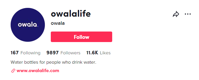   One svijetle's TikTok account includes a great social media bio.