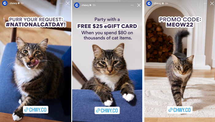 Une capture d'écran de Chewy's Instagram story featuring a cat and discount code for pet products on national cat day