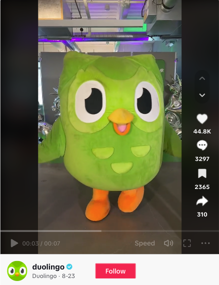 Snimak zaslona TikTok videa Duolinga Duo, TikTok maskote sove.