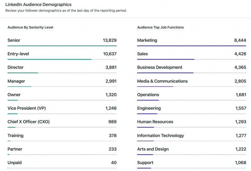 Brote Social's LinkedIn Audience Demographics Report, showing audience by seniority level and top job functions.