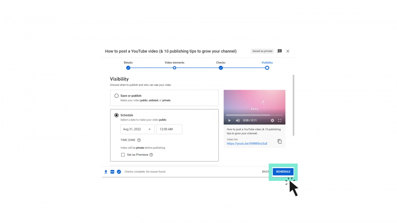   Menú de opciones de visibilidad al subir un video de YouTube