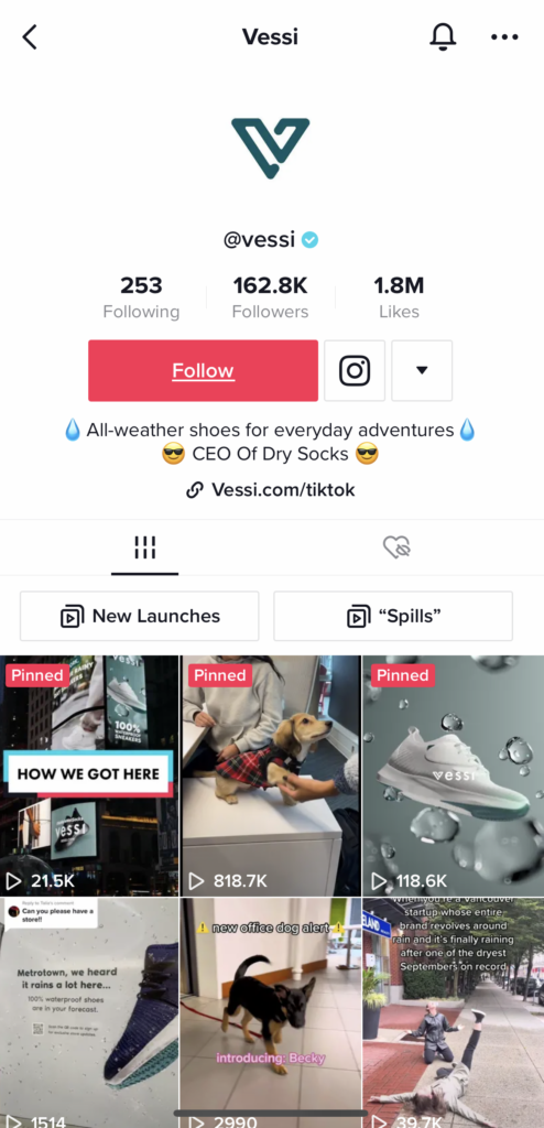 Screenshot Vessi's TikTok bio.