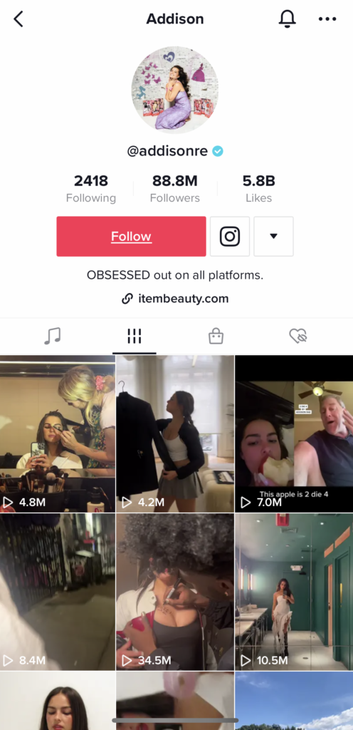 Snimka zaslona Addison Re's TikTok bio.