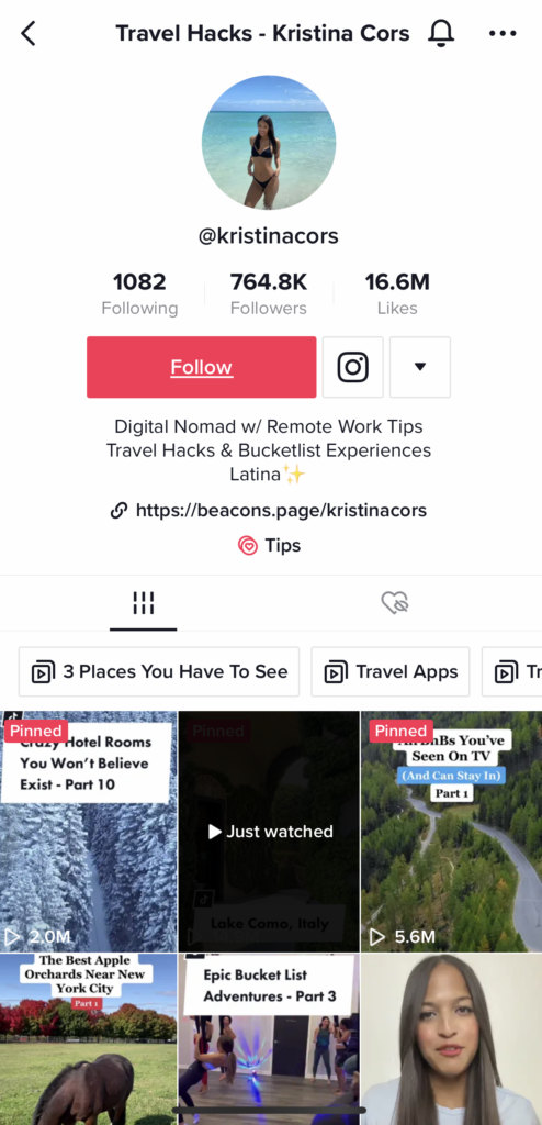 Snimka zaslona Kristine Cors's TikTok bio.