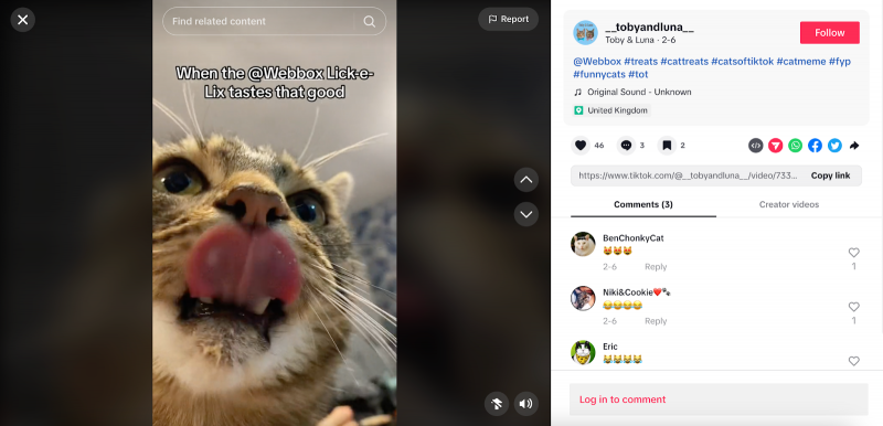   Webbox を宣伝するクリエイターの Toby と Luna による TikTok インフルエンサー キャンペーン。