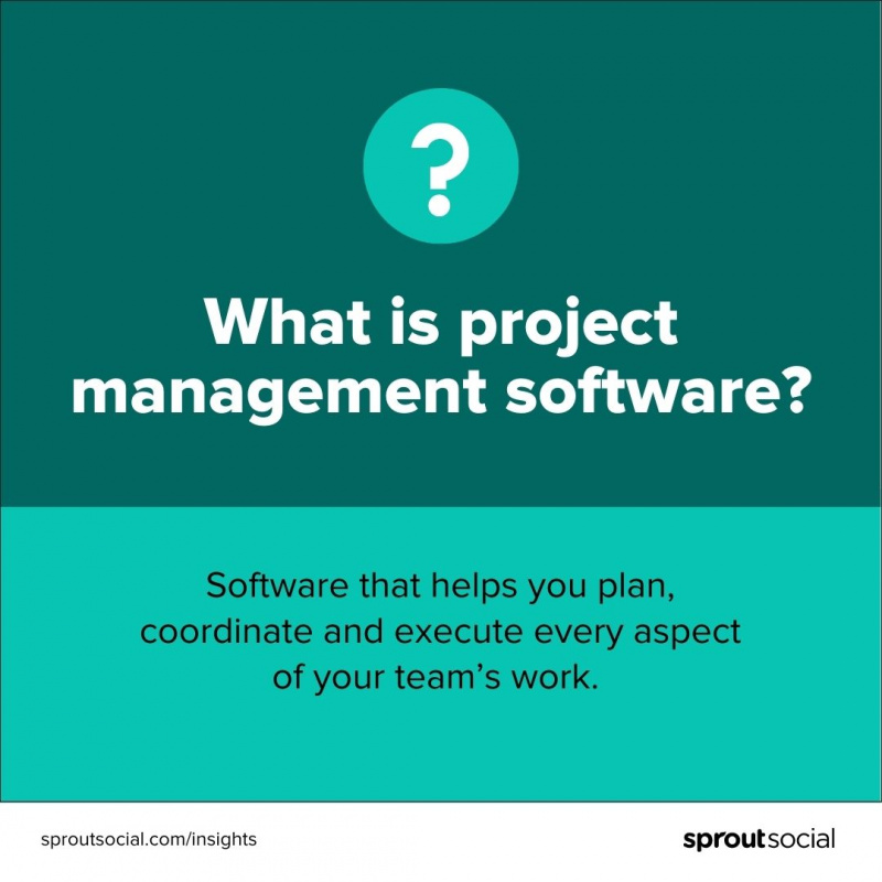 Una visualizzazione dei dati che definisce il software di gestione dei progetti. La definizione recita: 'Software che ti aiuta a pianificare, coordinare ed eseguire ogni aspetto del tuo team's work."
