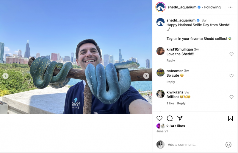   Un carosello di Instagram con stagisti e dipendenti di Shedd che scattano selfie con gli animali