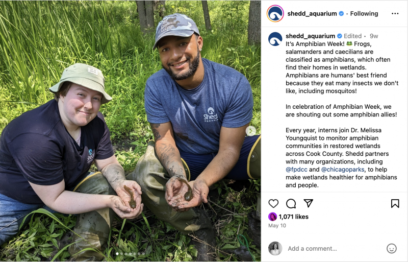   Un carosello Instagram dello Shedd Aquarium con stagisti durante la Amphibian Week