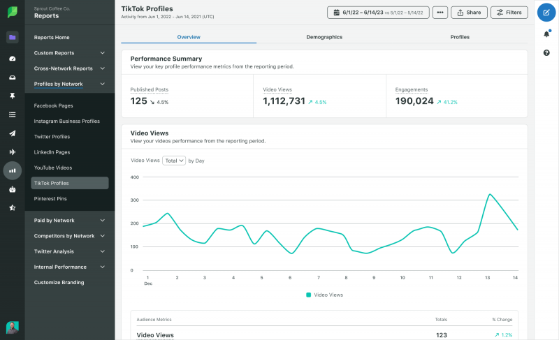   Une capture d'écran de Sprout's TikTok Performance Report that demonstrates the number of published posts, views and engagements from one TikTok account.