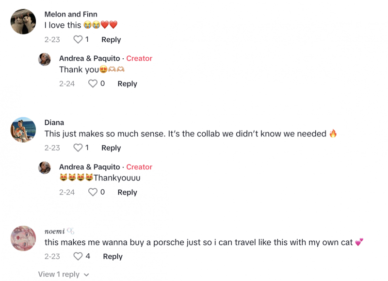   Une capture d'écran de la section des commentaires TikTok sur @Paquito_TheCat's video about Porsche. Users replied that this collab was something they didn't know they needed and just makes sense.