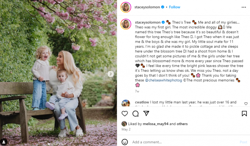   Una publicació familiar a la pàgina d'Instagram de Stacey Solomon