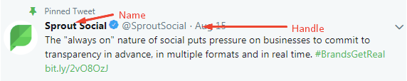 Vad är ett Twitter-handtag?