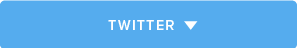 pulsante Twitter